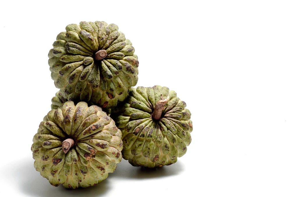 Sitafal on white background – product photography by Shreeji, Nagpur